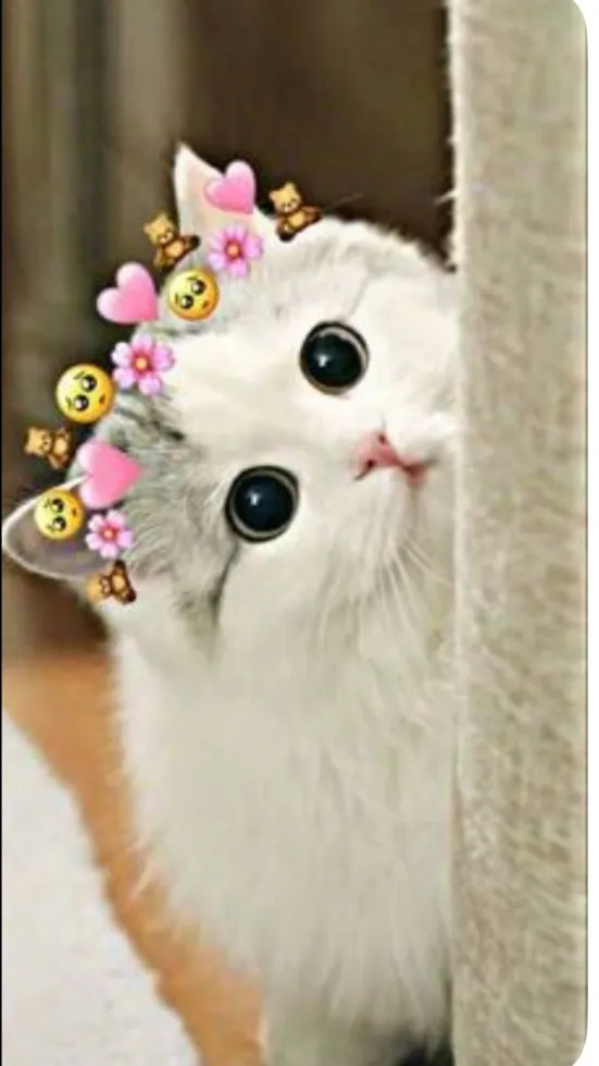 ai character: Scared cat background
