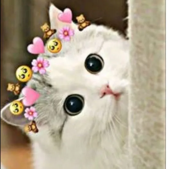 chat with ai character: Scared cat