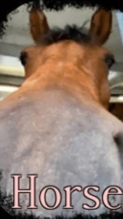 ai character: horse background