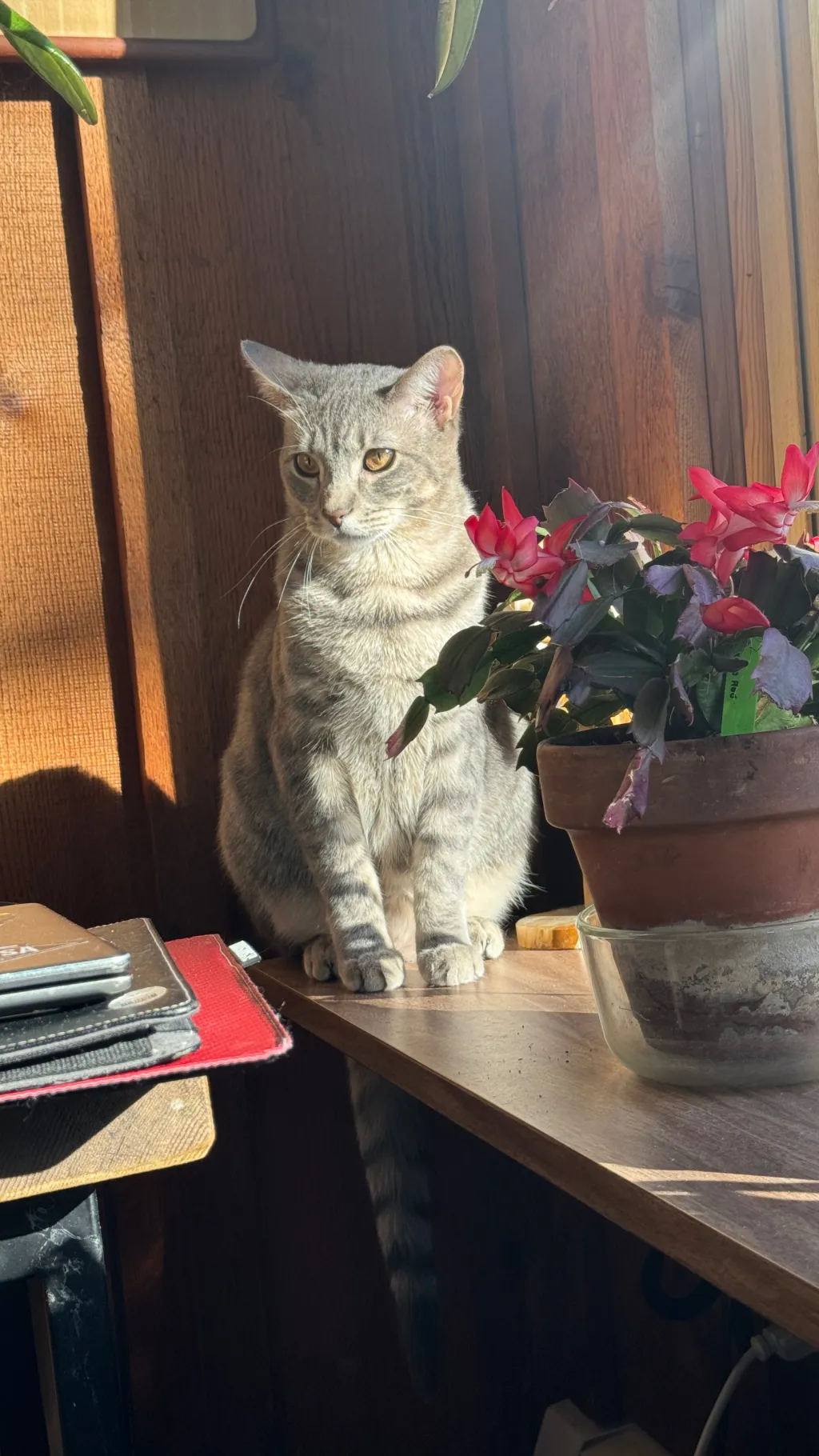 ai character: Toyota PT2 background