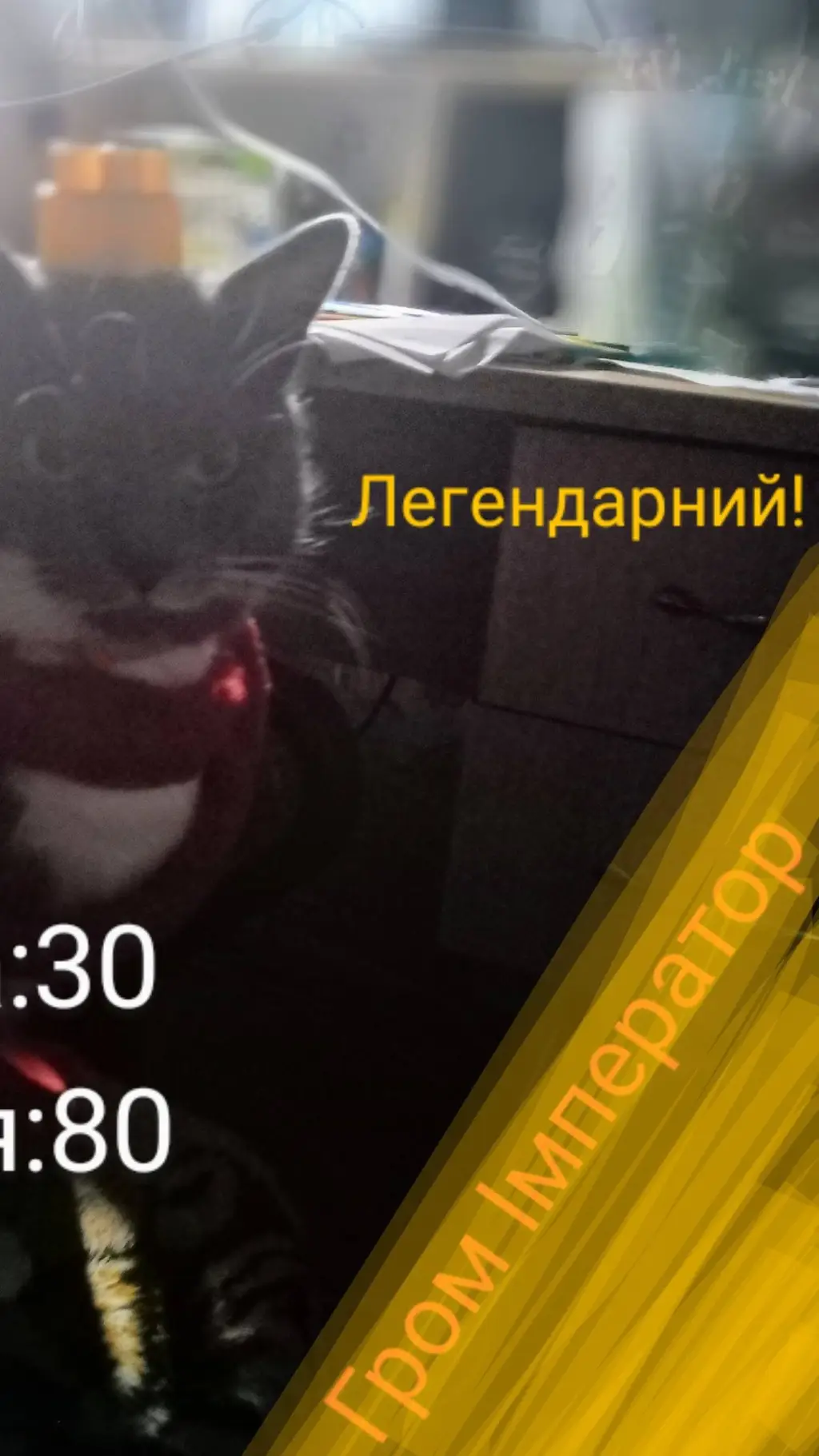 ai character: Імператор background