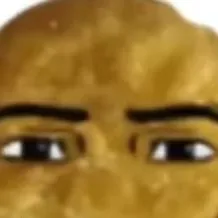 chat with ai character: Nuggets meme