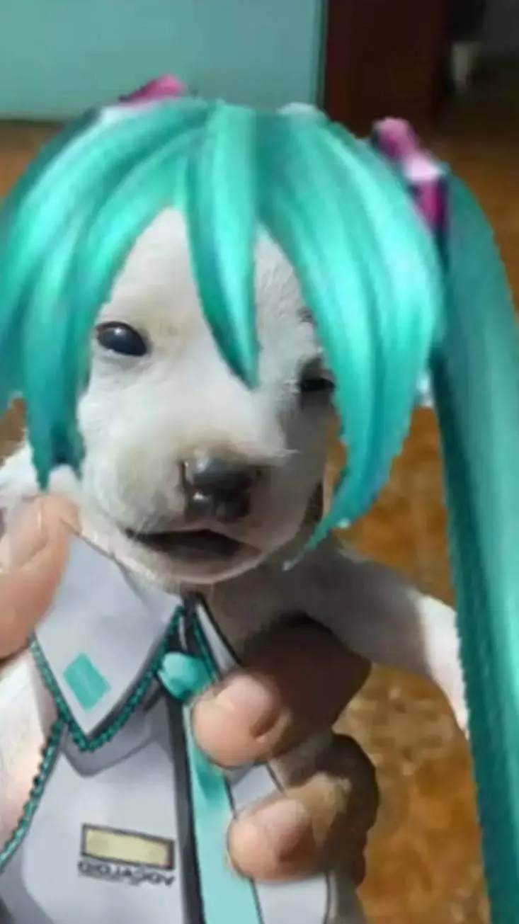 ai character: Miku  background