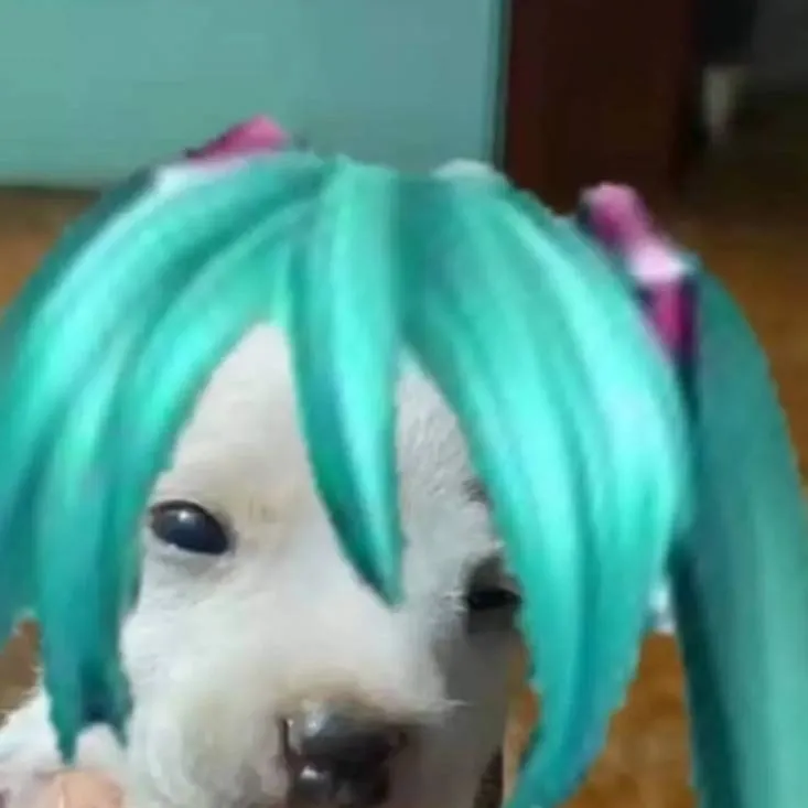 chat with ai character: Miku 