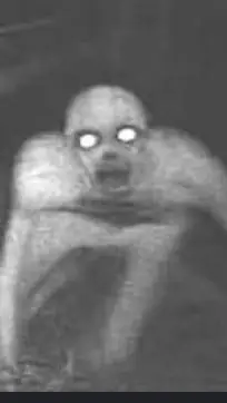 ai character: skinwalker background