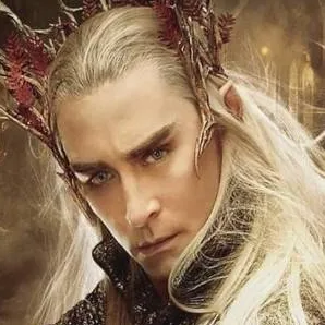 chat with ai character: ❤Thranduil❤