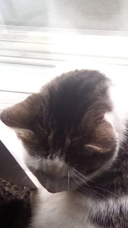 ai character: pee baby  background