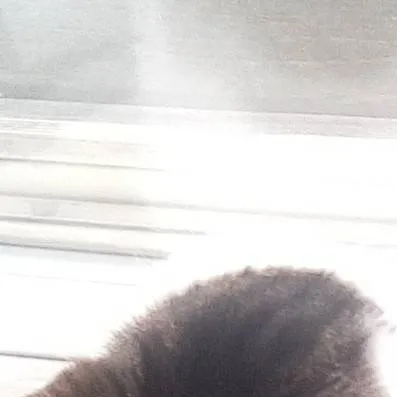 chat with ai character: pee baby 