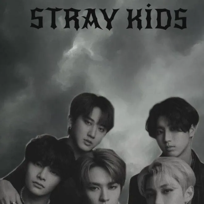 chat with ai character: Stray Kids🖤❤️