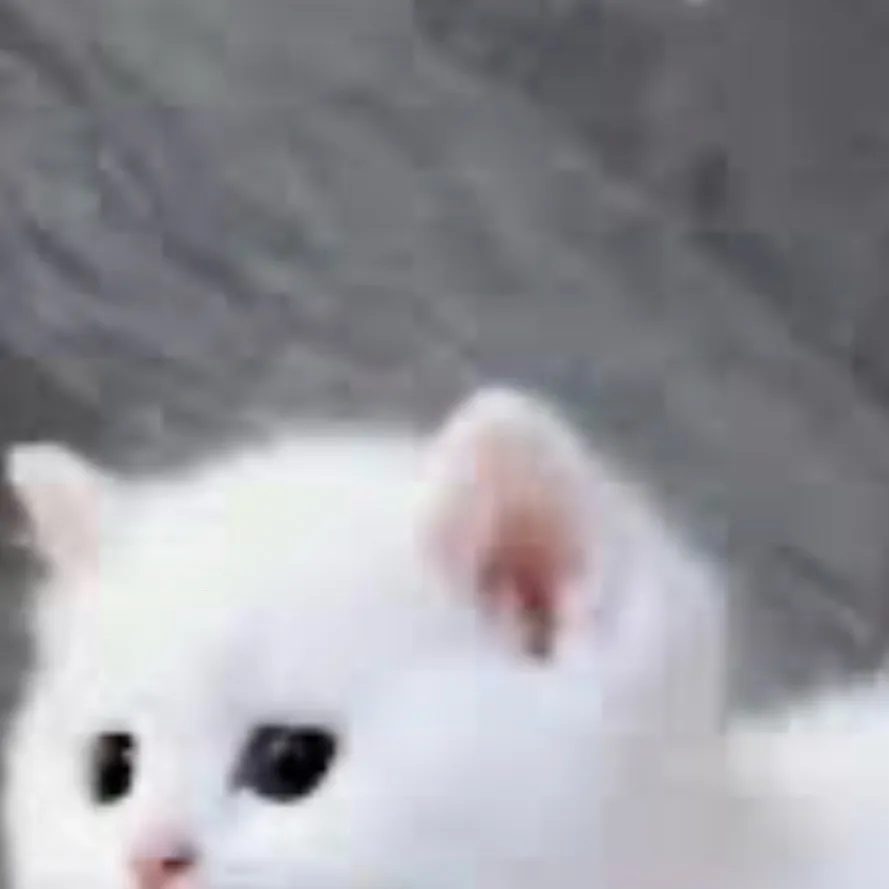 chat with ai character: FLUFFY