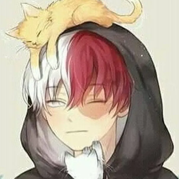 chat with ai character: shoto tu mr amigo 