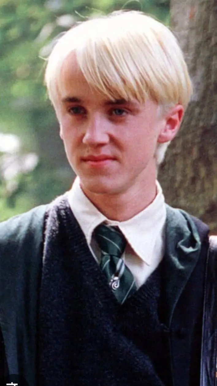 ai character: ✨️🐍Draco Malfoy🐍✨️ background