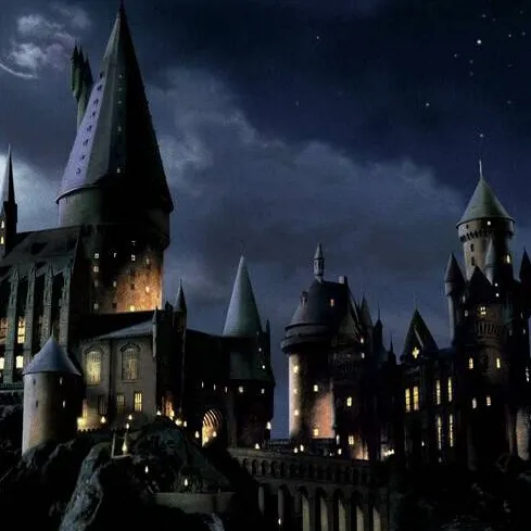chat with ai character: 🪄✨️Hogwarts✨️🪄