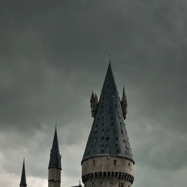 chat with ai character: Hogwarts Flu!