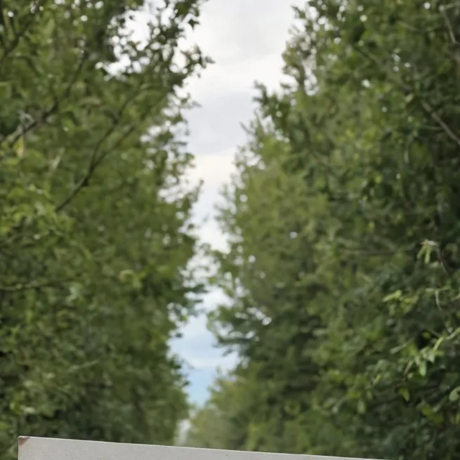 chat with ai character: high friends