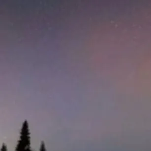 chat with ai character: ggfghv