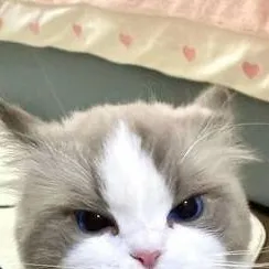 chat with ai character: песня