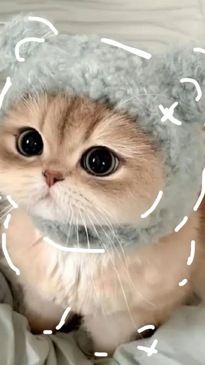 ai character: Mha  background