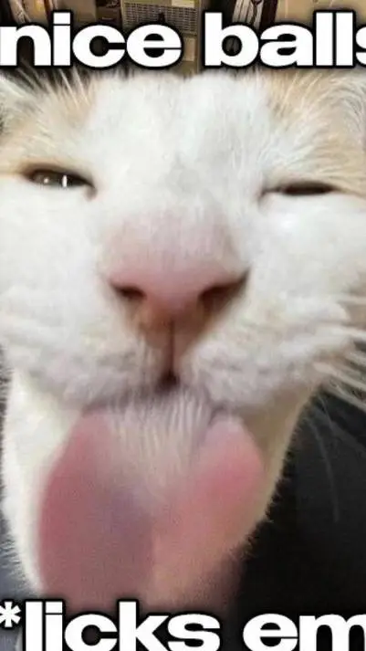 ai character: GUEST'S MURDER💔💔😭😭 background