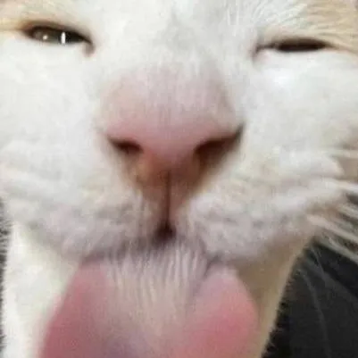 chat with ai character: GUEST'S MURDER💔💔😭😭