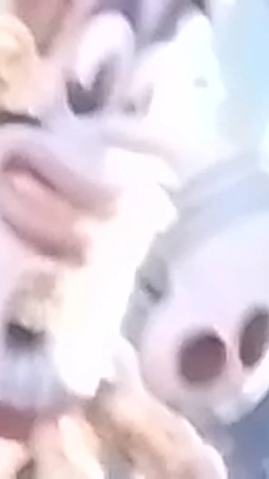 ai character: the king background