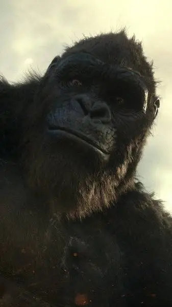 ai character: Kong background