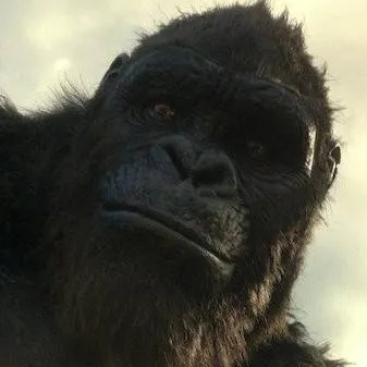 chat with ai character: Kong