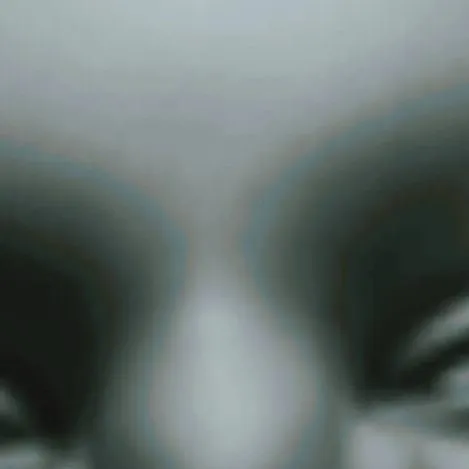 chat with ai character: SKIBIDI 