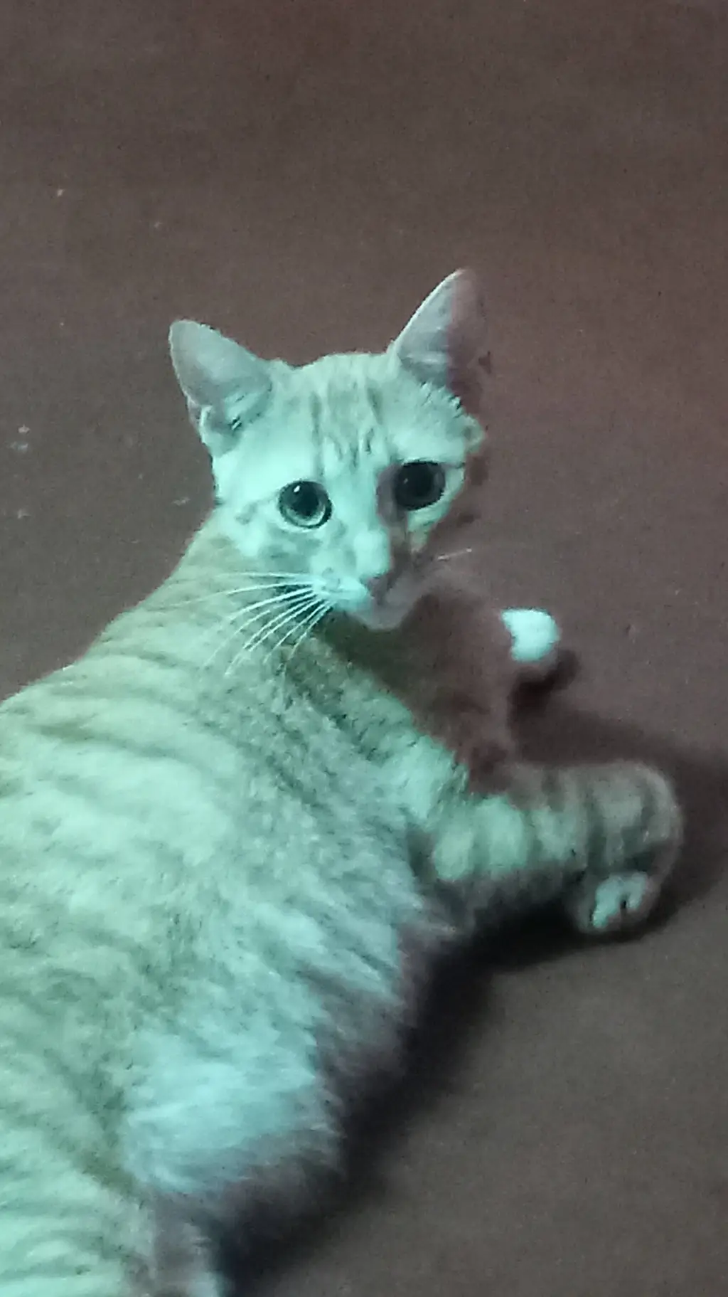 ai character: sarabi  background