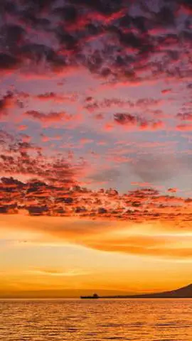 ai character: Rexy is alive background