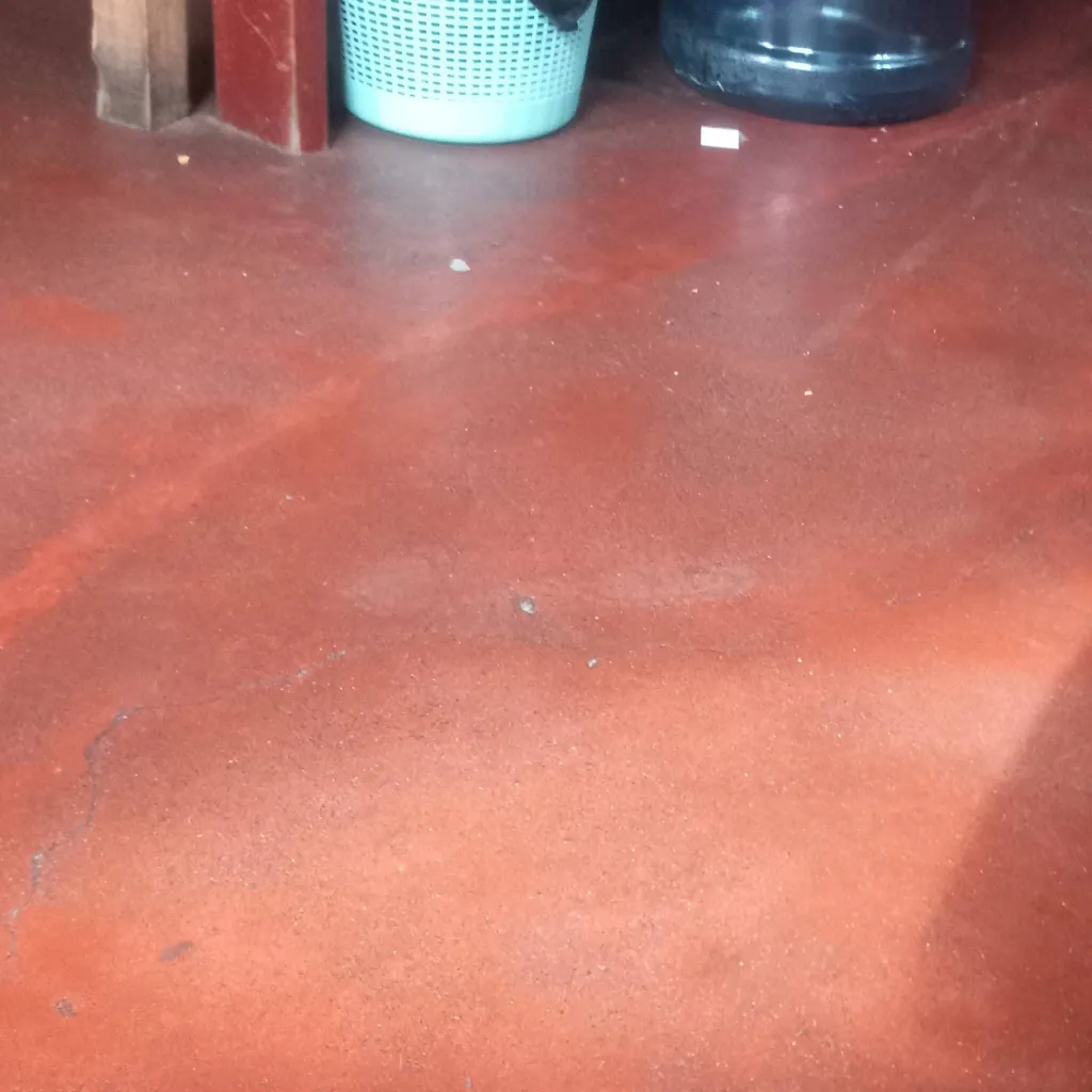 chat with ai character: Diente agudo TLBF 