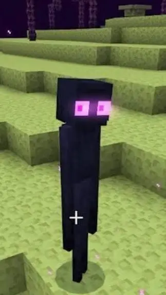 ai character: 👀Enderman👀 background