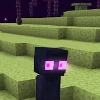 chat with ai character: 👀Enderman👀