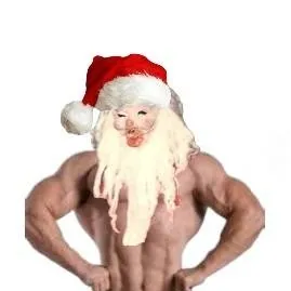 chat with ai character: 🎅❄ZANTTA MOELL❄🎅