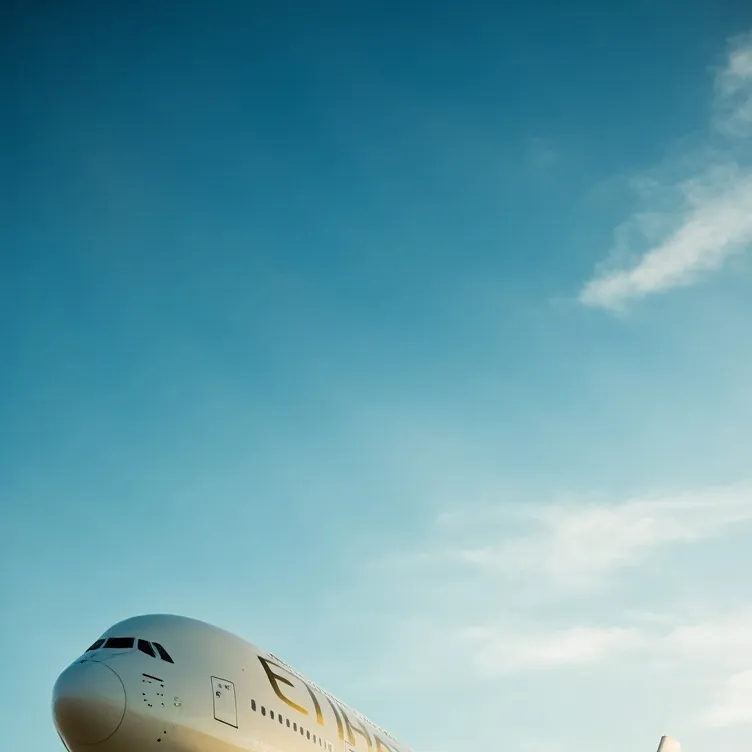 chat with ai character: Etihad Airways