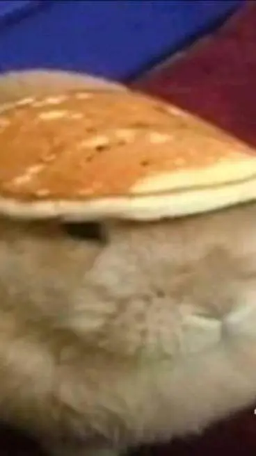 ai character: CUIDA A GUBBY XD background