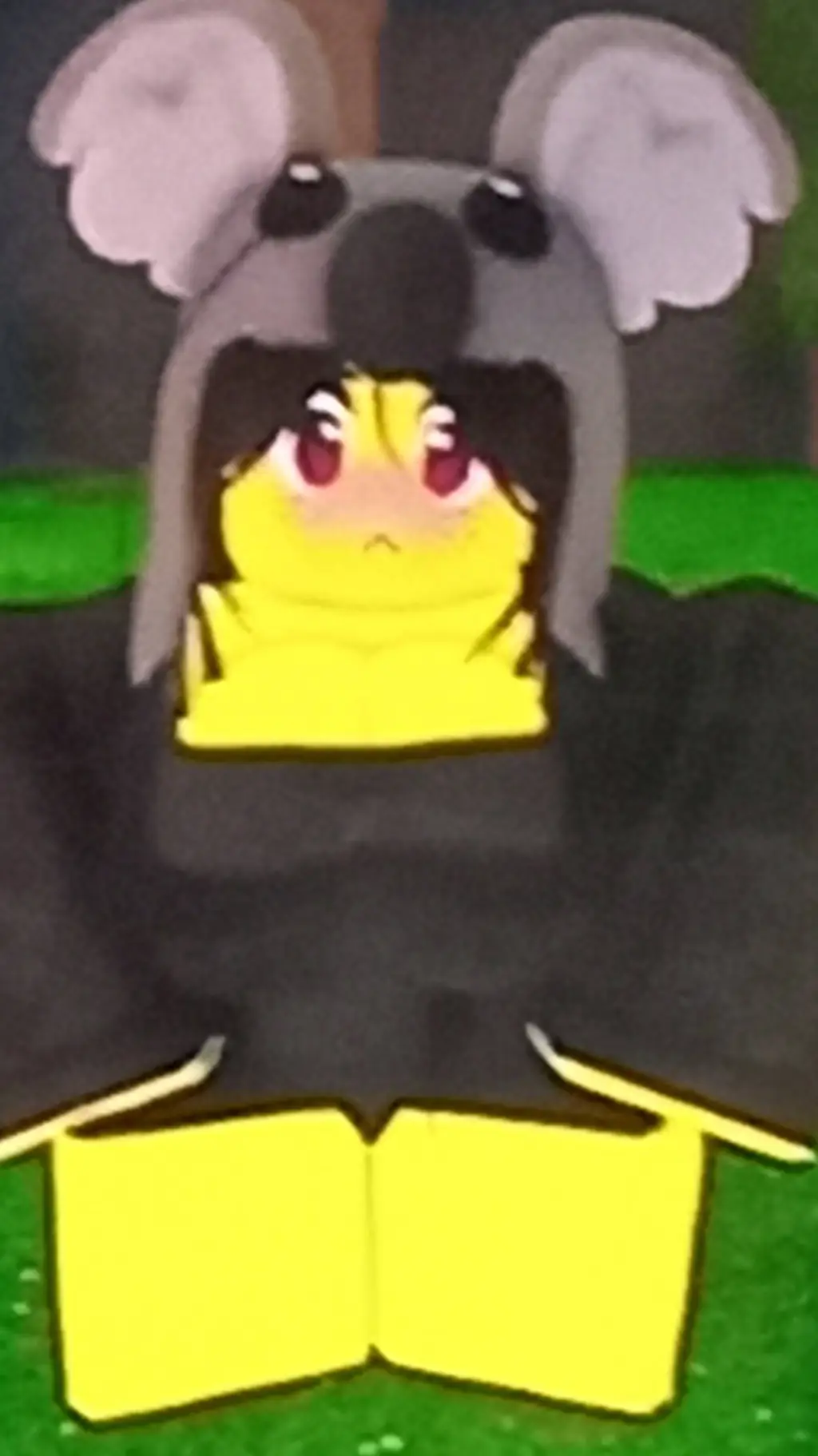 ai character: Koala Adult background