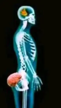 ai character: mha hates you background