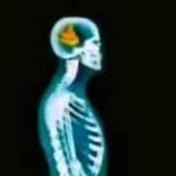 chat with ai character: mha hates you