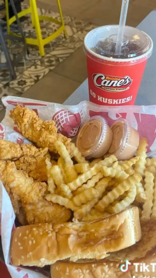ai character: RAISING CANE'S  background