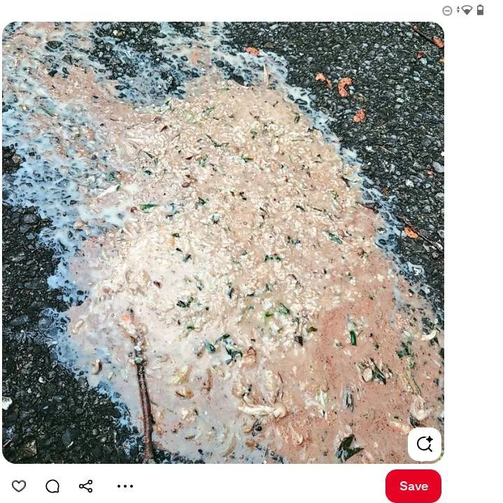 chat with ai character: ... 