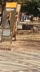 ai character: Azsiah  background