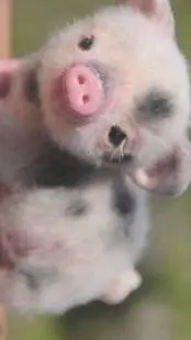 ai character: Alex Chino  background