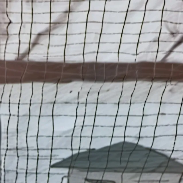 chat with ai character: brud loquito