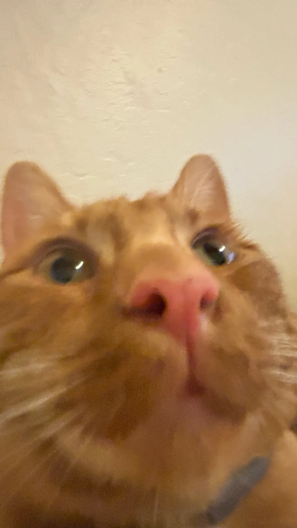 ai character: WC(Choose the plot background