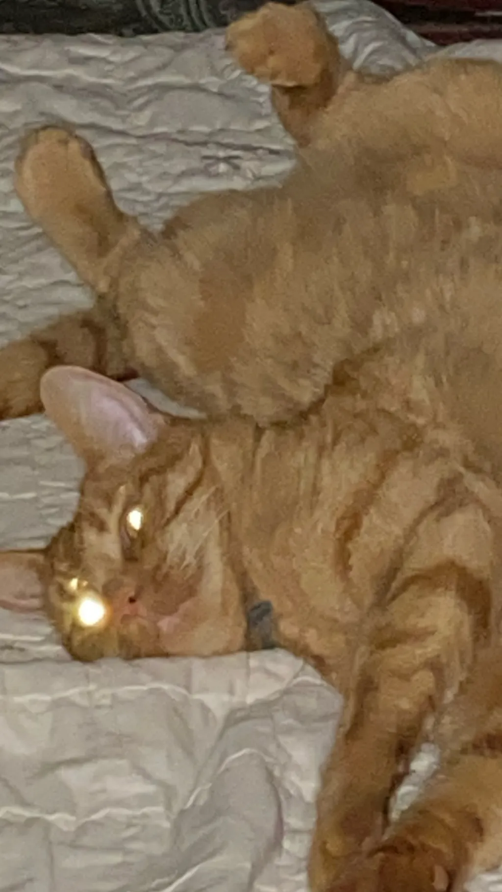 ai character: WC(Choose the plot background