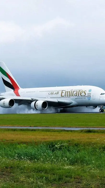 ai character: If Airlines Talked background