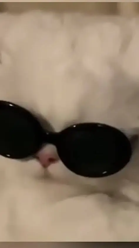 ai character: Cute Cat background