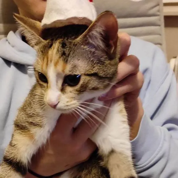 chat with ai character: Bradley