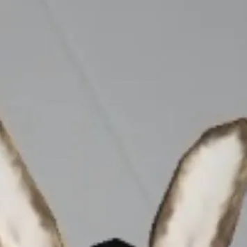 chat with ai character: Jack Jack Jack